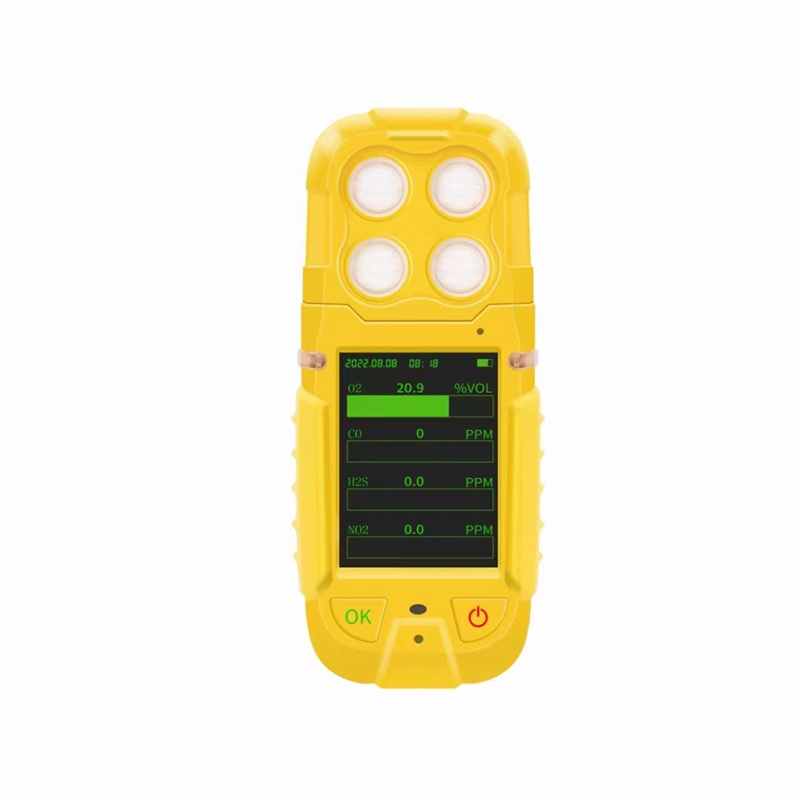 多參數(shù)氣體測(cè)定器CD4高防護(hù)款